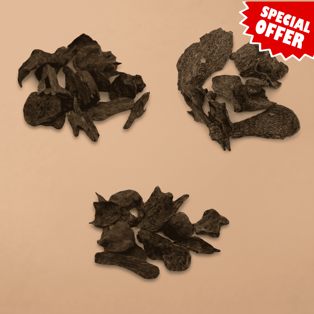 Oud Silani Offer