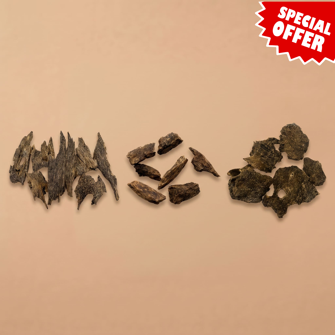 Oud Vietnam Offer
